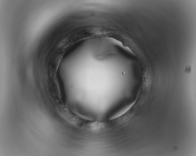 X0000113580762200910091502