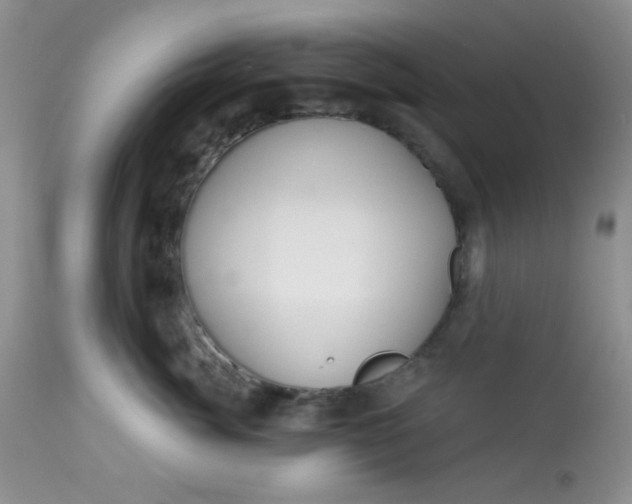 X0000113580764200910091502