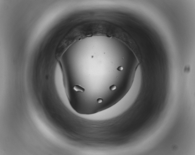 X0000113580766200910091502