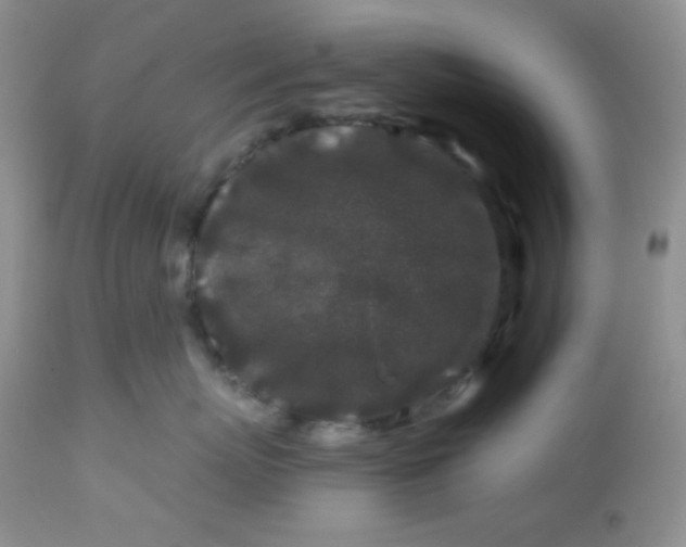 X0000113580767200910091502