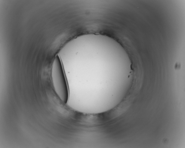 X0000113580768200910091502