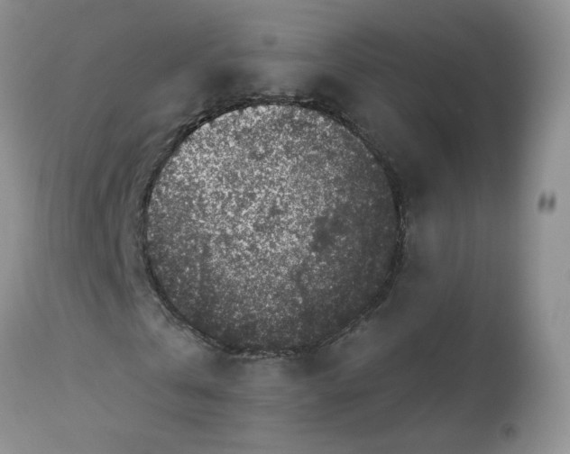 X0000113580769200910091501