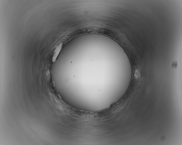 X0000113580771200910091501