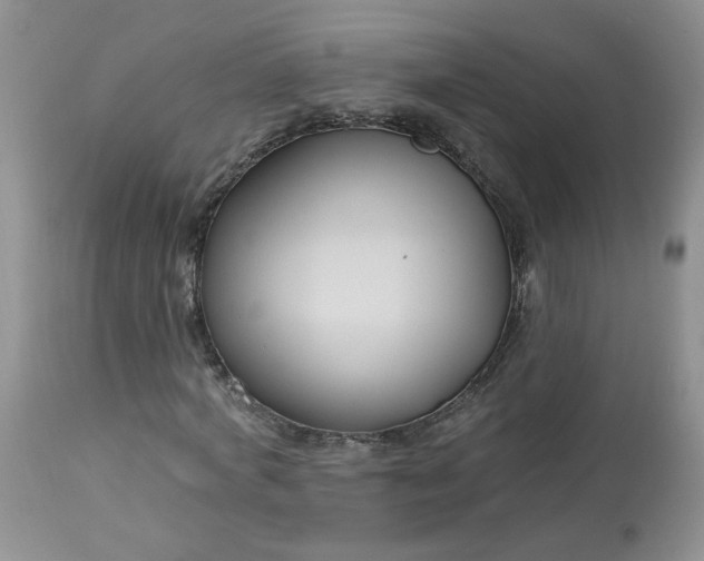 X0000113580772200910091501