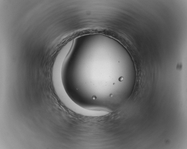 X0000113580773200910091501