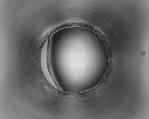 X0000113580775200910091501