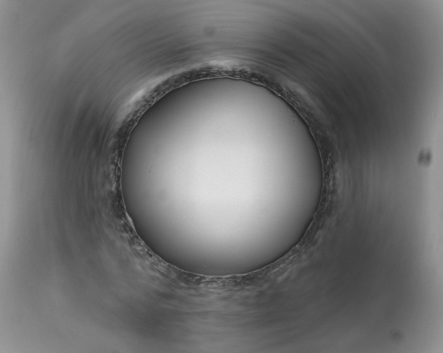 X0000113580776200910091501