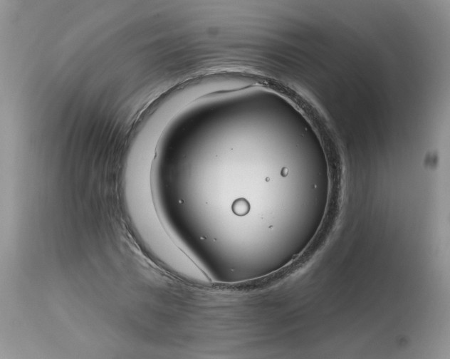 X0000113580777200910091501