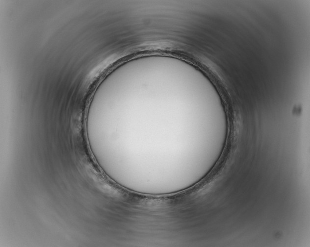 X0000113580778200910091501