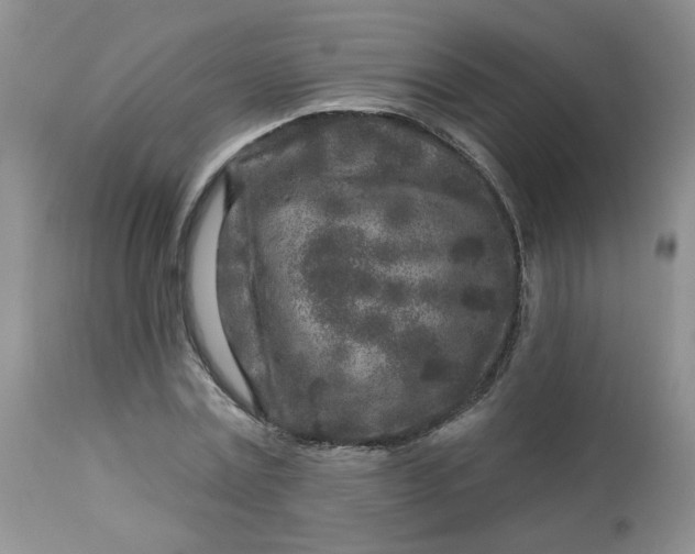 X0000113580779200910091501