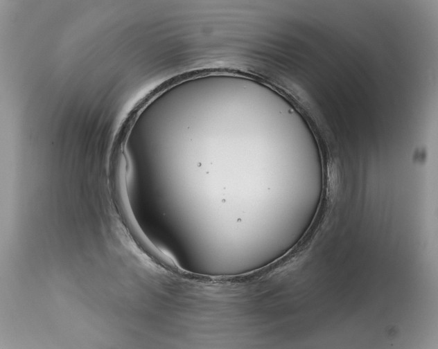 X0000113580780200910091501