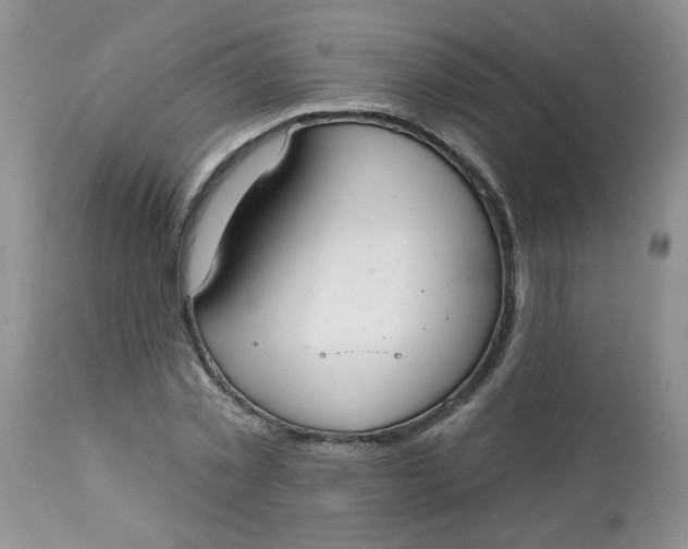 X0000113580781200910091501