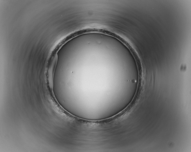 X0000113580783200910091501