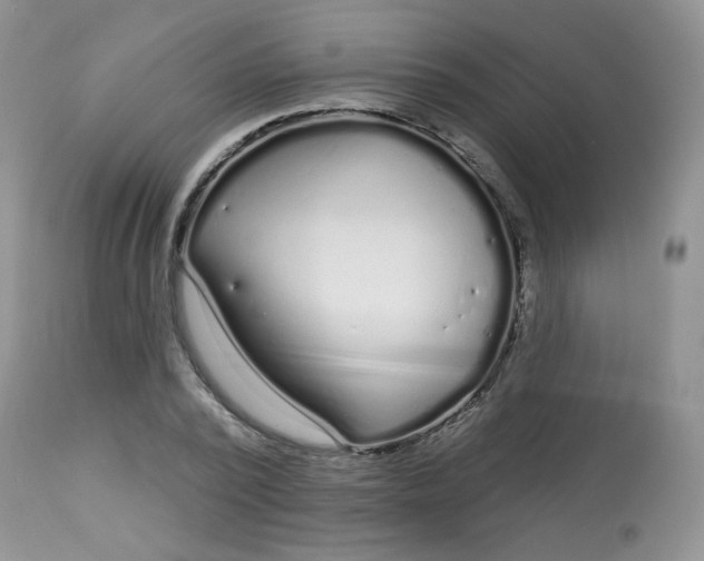 X0000113580784200910091501