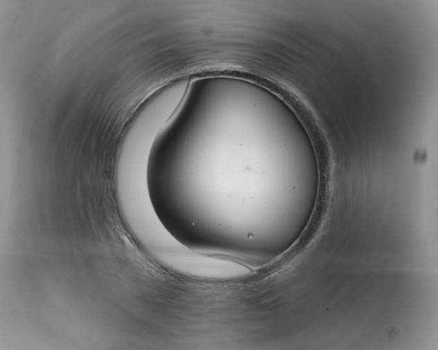 X0000113580785200910091501