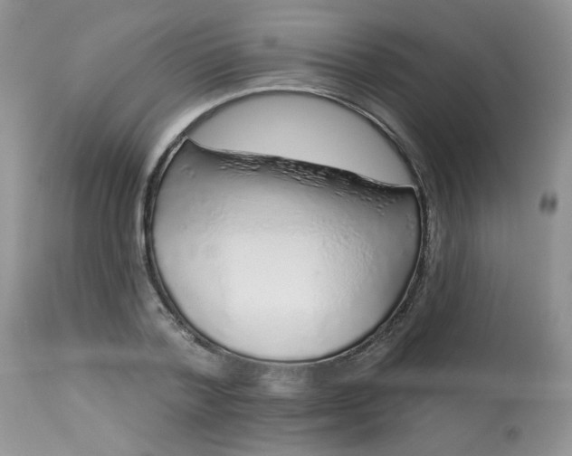 X0000113580788200910091501