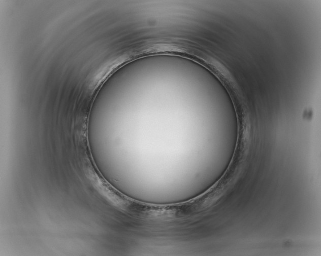 X0000113580793200910091501