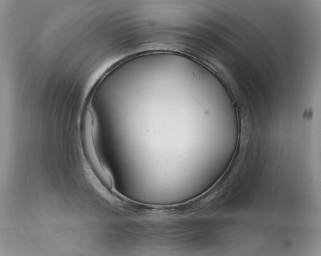 X0000113580796200910091501