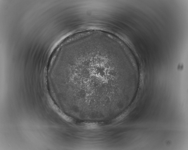 X0000113580798200910091501