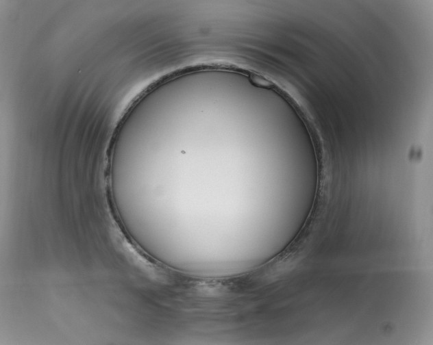 X0000113580799200910091501