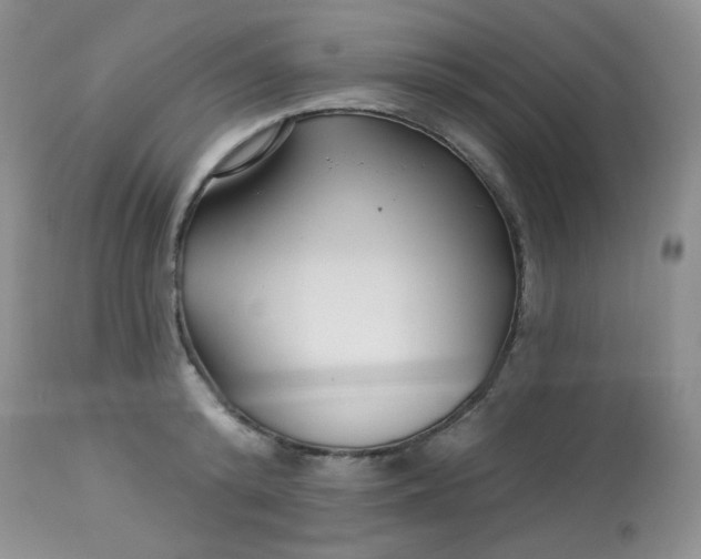 X0000113580800200910091501