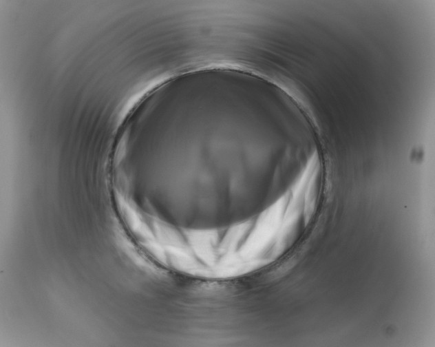 X0000113580806200910091500