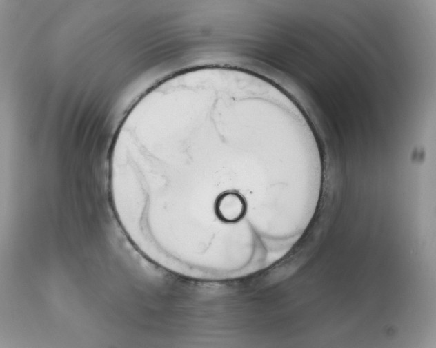 X0000113580807200910091500