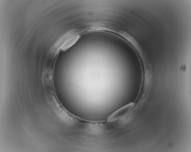 X0000113580809200910091500