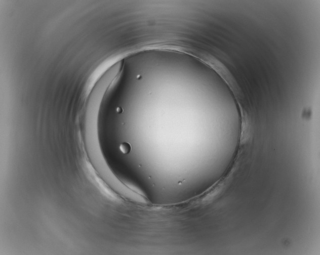 X0000113580812200910091500