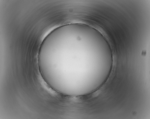 X0000113580814200910091500