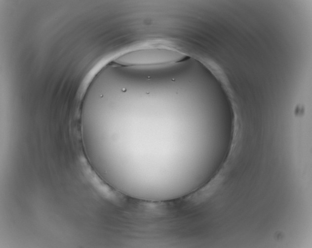 X0000113580816200910091500