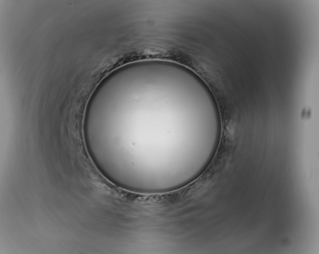 X0000113580817200910091459