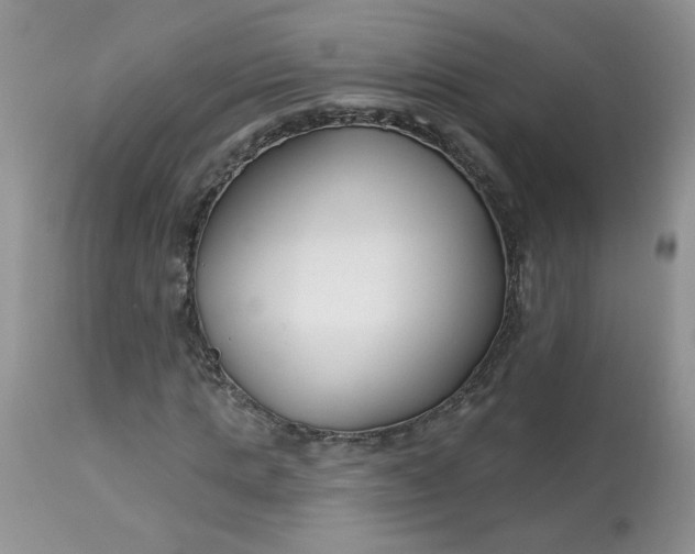 X0000113580821200910091500