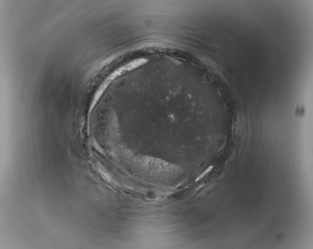 X0000113580822200910091500