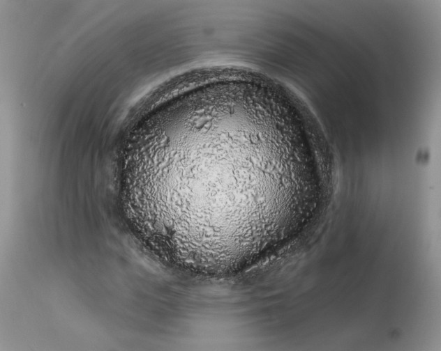 X0000113580823200910091500