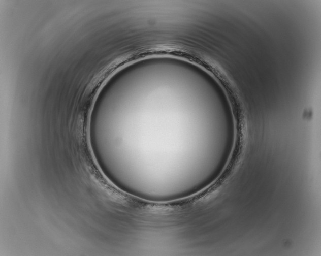 X0000113580825200910091500