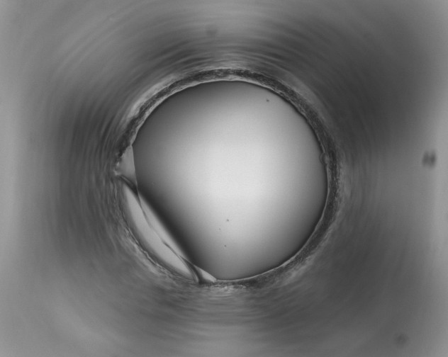 X0000113580826200910091500