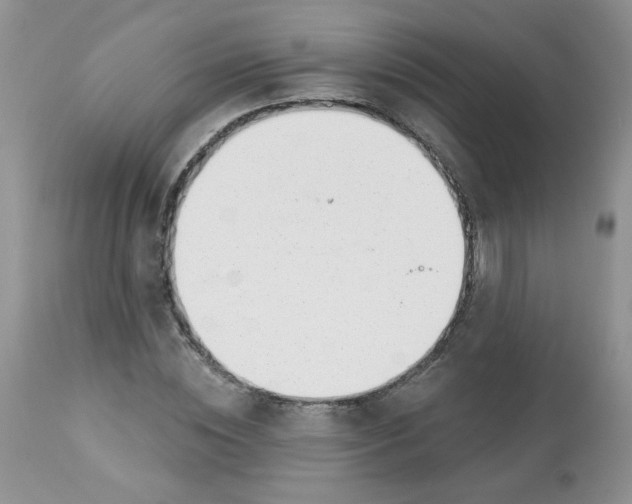 X0000113580828200910091500