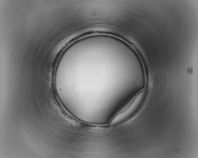 X0000113580829200910091500