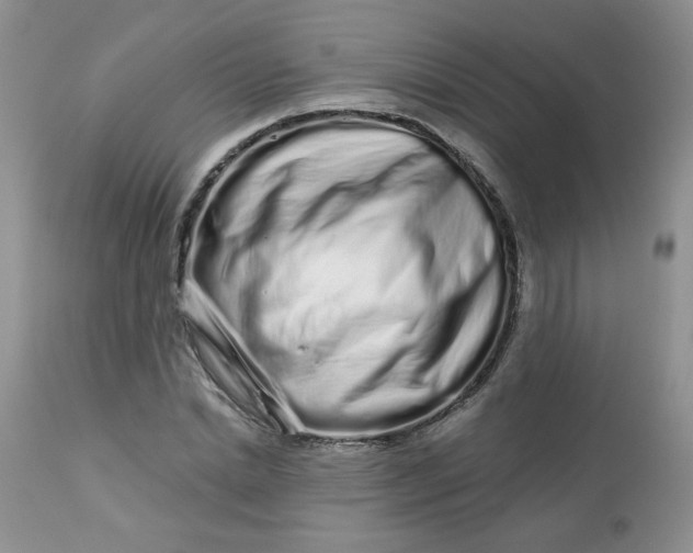 X0000113580830200910091500