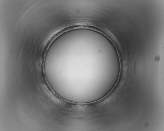 X0000113580831200910091500