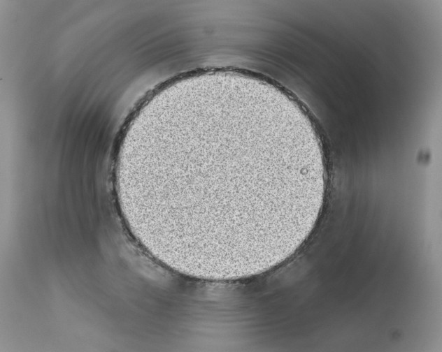 X0000113580832200910091500