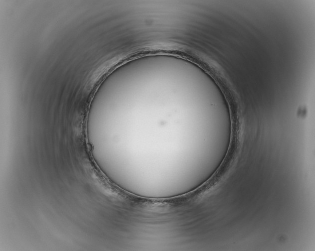 X0000113580833200910091500