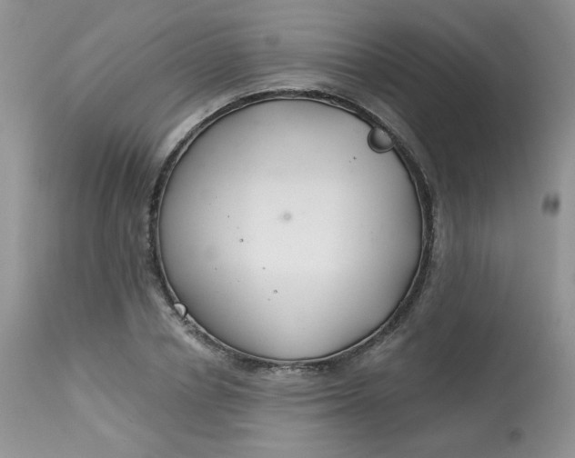 X0000113580834200910091500