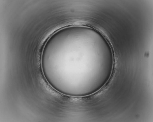 X0000113580835200910091500