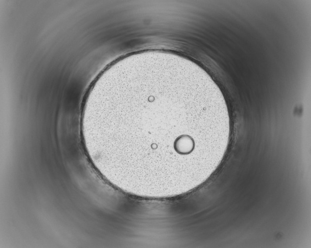 X0000113580836200910091500