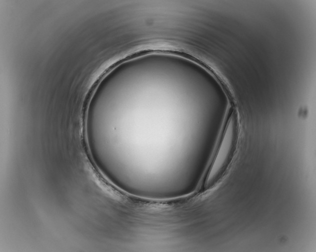 X0000113580837200910091500