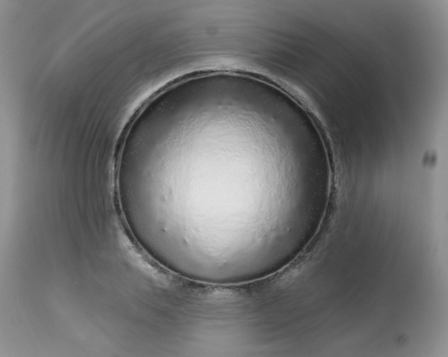 X0000113580839200910091500