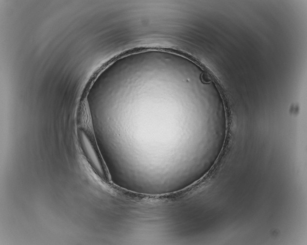 X0000113580840200910091500