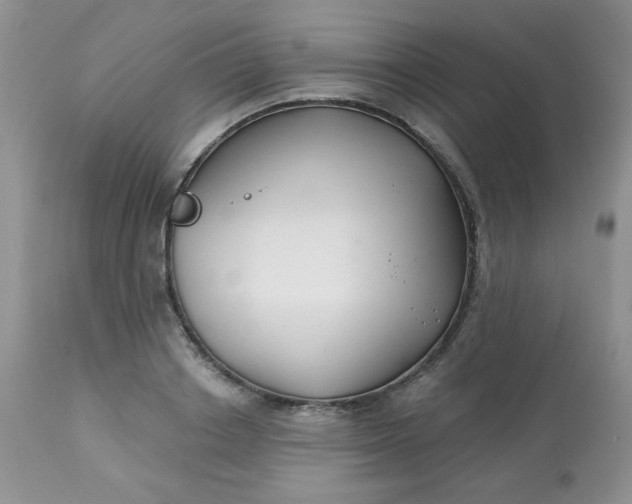 X0000113580842200910091500